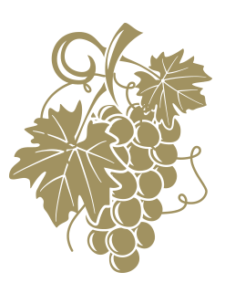 Dibujo vectorial de racimo de uvas.